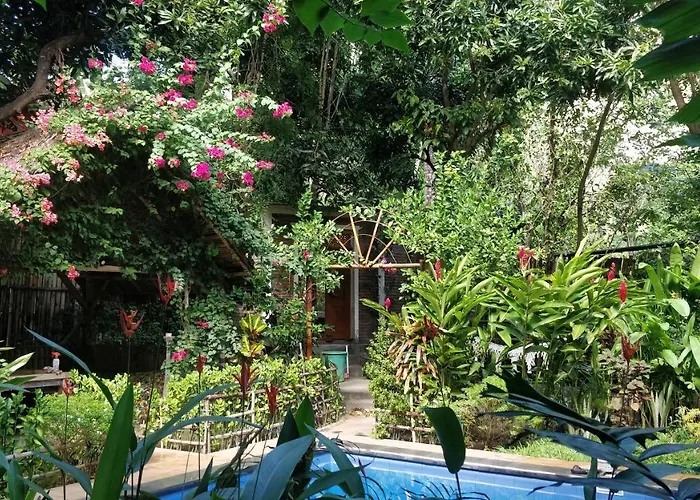 Kong Villa Amed
